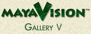 Steve Radzi Gallery 5