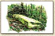 greeting cards of Piedras Negras