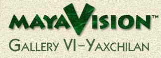 Yaxchilan Illustrations by Steve Radzi