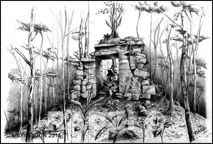 ILLUSTRATION BY STEVE RADZI