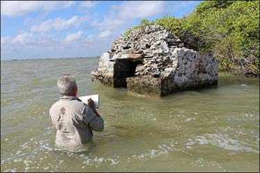Steve Radzi, Illustrator of Maya sites
