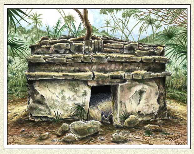 Maya illustration by Steve Radzi