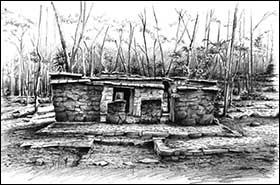 Maya Illustrations by Steve Radzi