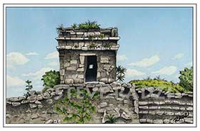 Maya illustration by Steve Radzi