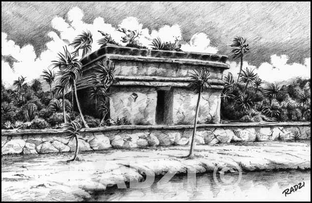 ILLUSTRATION BY STEVE RADZI