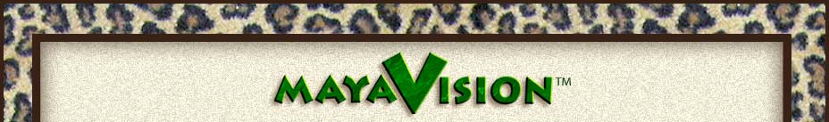 Steve Radzi Mayavision