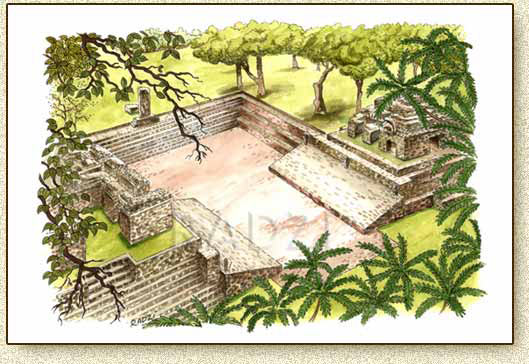 Copan Illustration by Steve Radzi