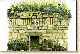 Mayan illustration of Xichmook by Steve Radzi