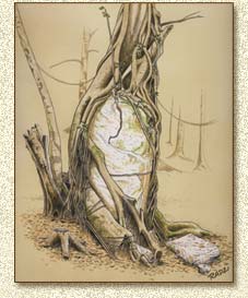 Maya Illustrations and Drawings of Ruins, Temples and Structures of Homul by Steve Radzi