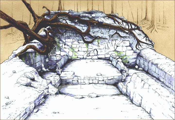 Holmul by Steve Radzi 