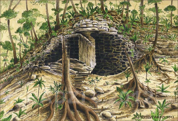 Holmul Puerto Negra by Steve Radzi