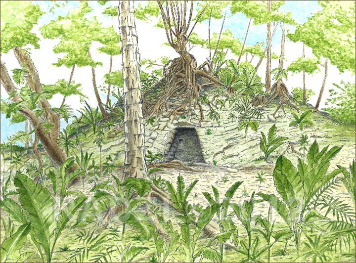 Holmul, Guatemala by Steve Radzi 