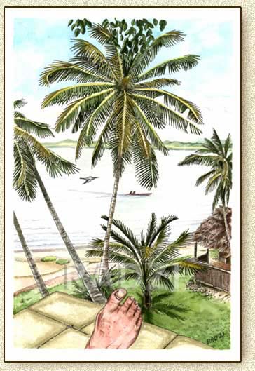 Mayan illustration by Steve Radzi