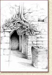 Coba artwork by Steve Radzi