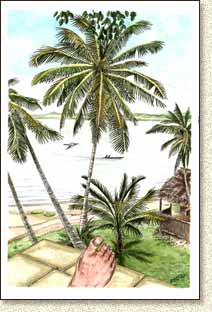 Mayan illustration of Livingston by Steve Radzi