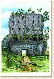 Mayan illustration of Mirador by Steve Radzi