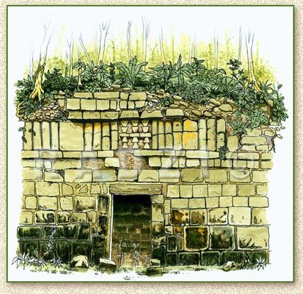 Mayan illustration by Steve Radzi