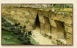 Yaxilan Illustrated by Steve Radzi